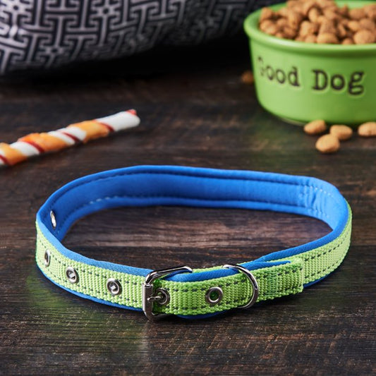 Dog Collar in Blue Medium