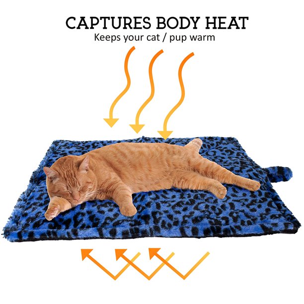 Mat Bed for Pet in Blue Regular