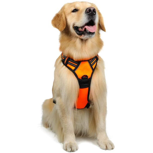 Dog Harness Small in Bright Pumpkin