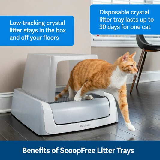 Crystal Litter Tray in Blue 1 Pack