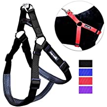 Walking Harness Black in Medium