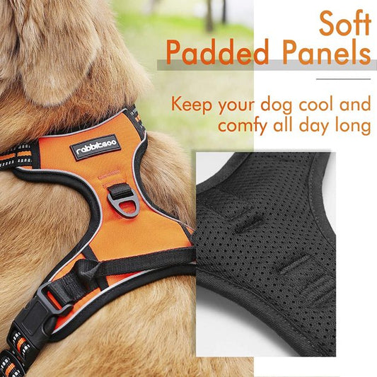 Dog Harness Bright Pumpkin in Extra Large