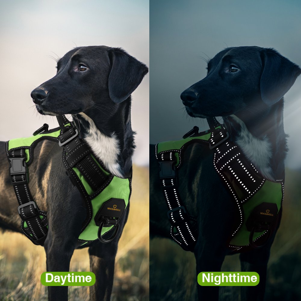 Reflective Dog Harness Medium Green