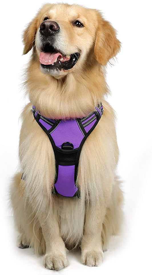 Dog Harness Medium in Modern Violet