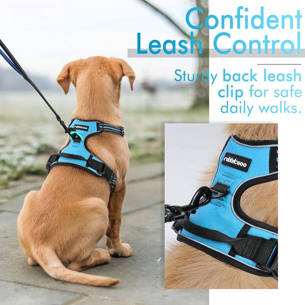 Dog Harness Large in Blue