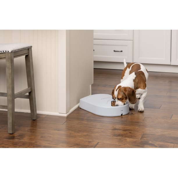 Pet Food Dispenser 5 Meal Portion