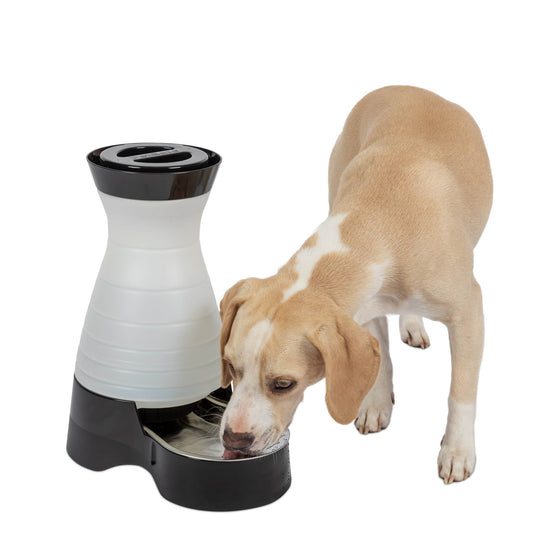 Healthy Pet Water Station Medium