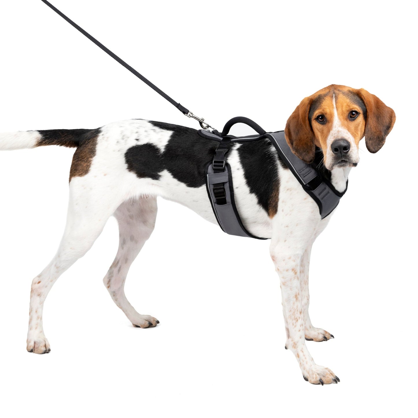 Dog Harness Comfy in Large Charcoal Grey