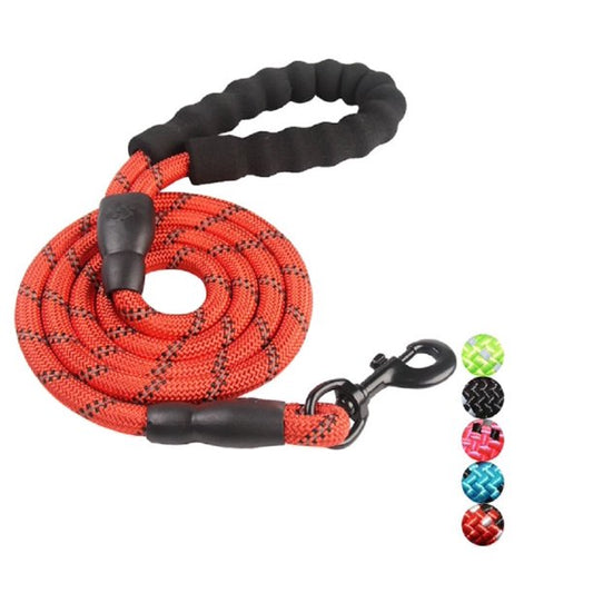 Dog Leash with Padded Handle in Red 5 Feet