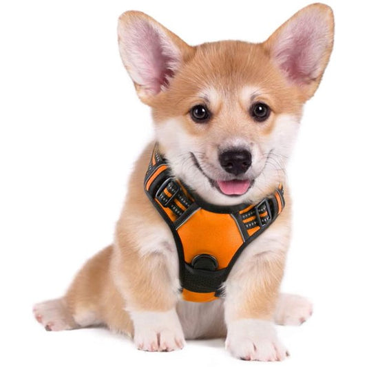 Dog Harness Medium in Bright Pumpkin