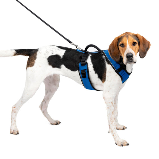 Dog Harness Comfortable Padding Large Blue