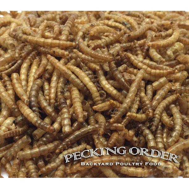 Pecking Order Dried Mealworms