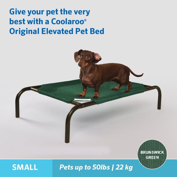 Pet Bed Brunswick Green in Small