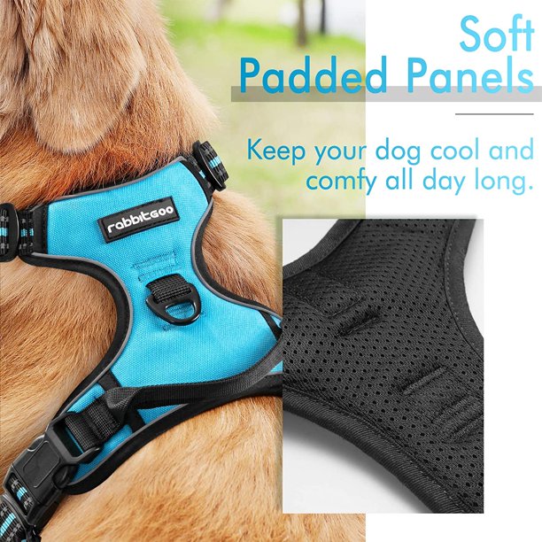 Dog Harness Large in Blue