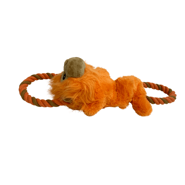 Pet Toy in Orange