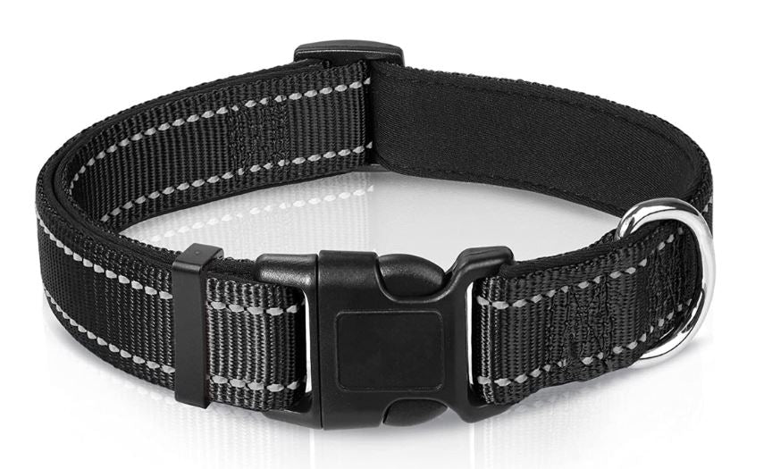 Reflective Dog Collar XL in Black