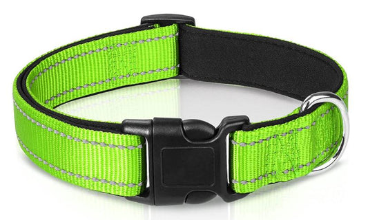 Reflective Dog Collar Large Grass Green