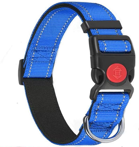Dog Collar in Large