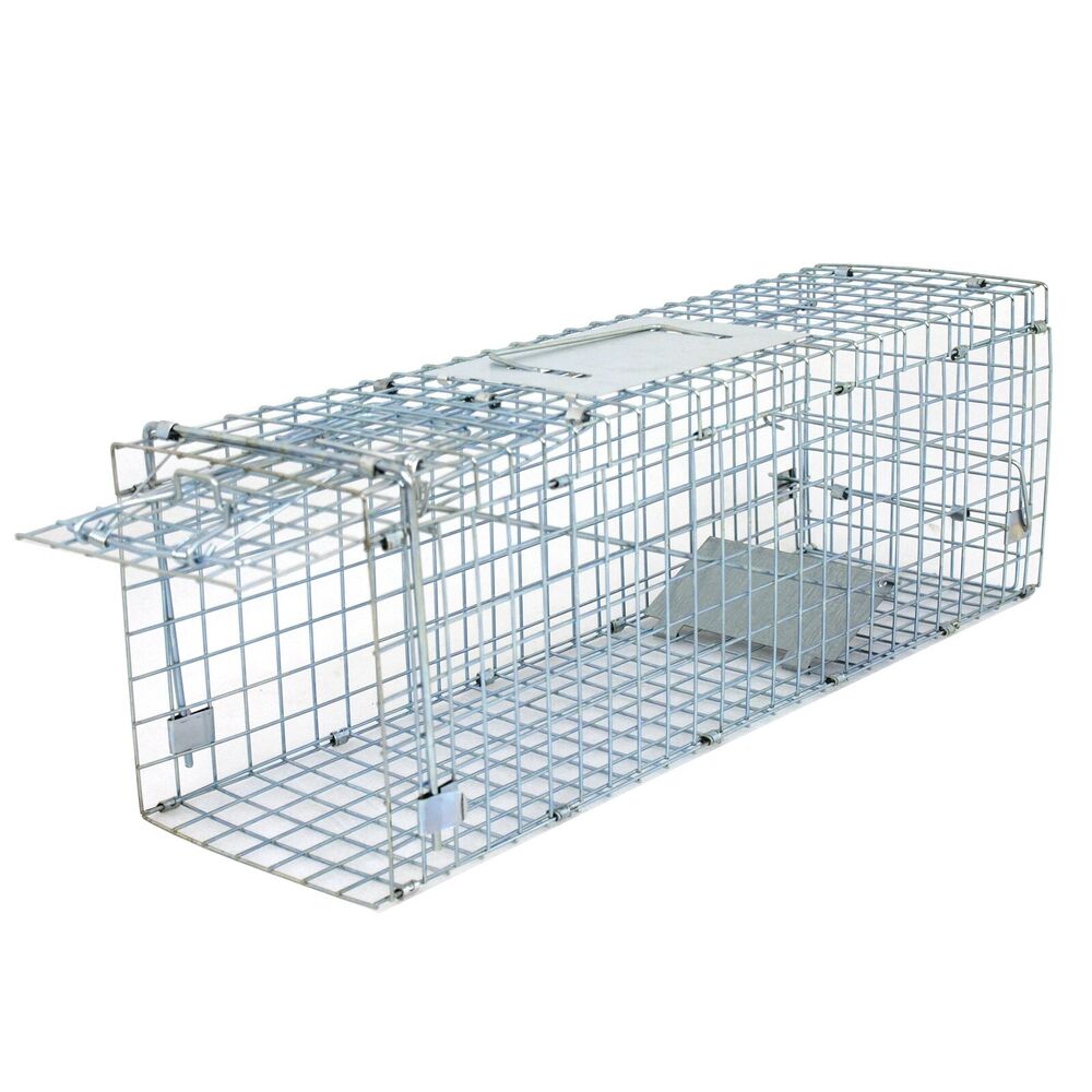 Animal Trap 24in x 8in x 7.5in - Pets R Family