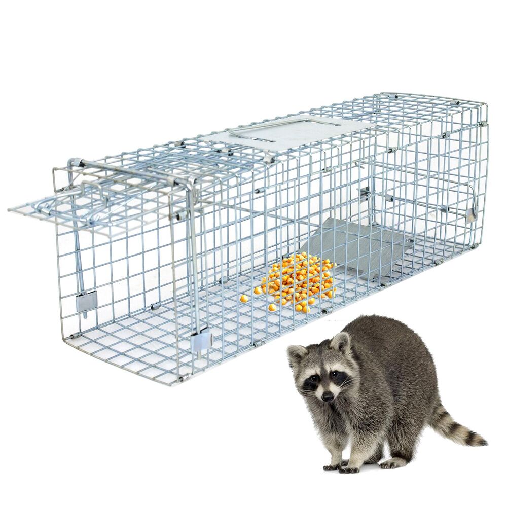 Animal Trap 24in x 8in x 7.5in - Pets R Family