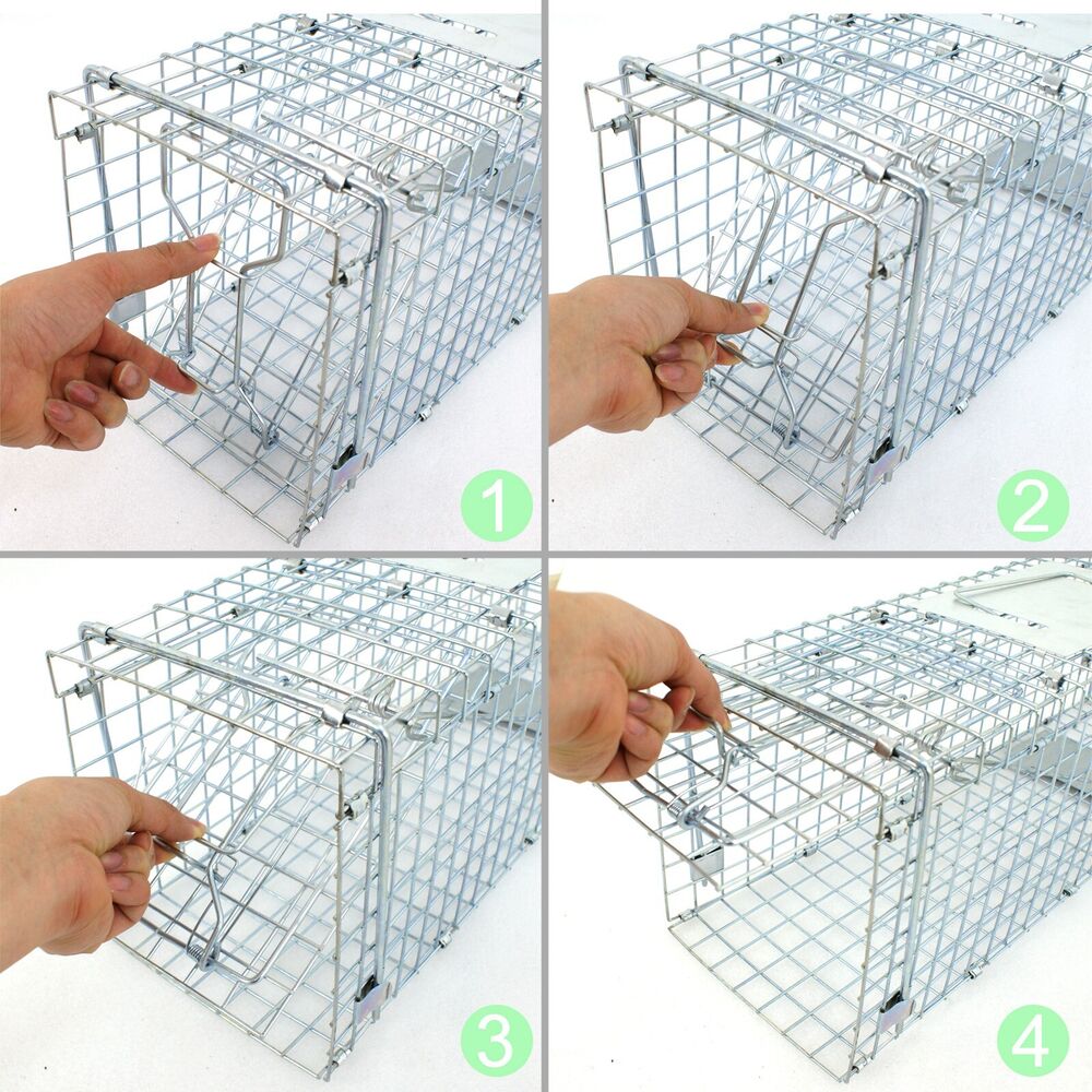 Animal Trap 24in x 8in x 7.5in - Pets R Family