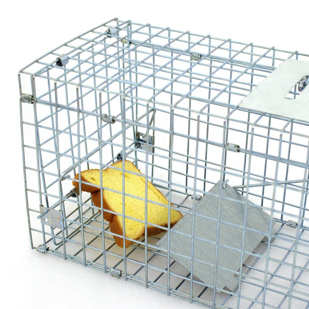 Animal Trap 24in x 8in x 7.5in - Pets R Family