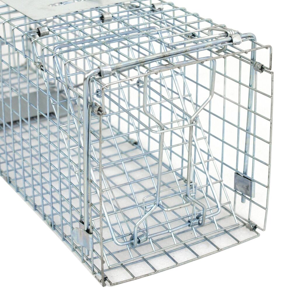 Animal Trap 24in x 8in x 7.5in - Pets R Family