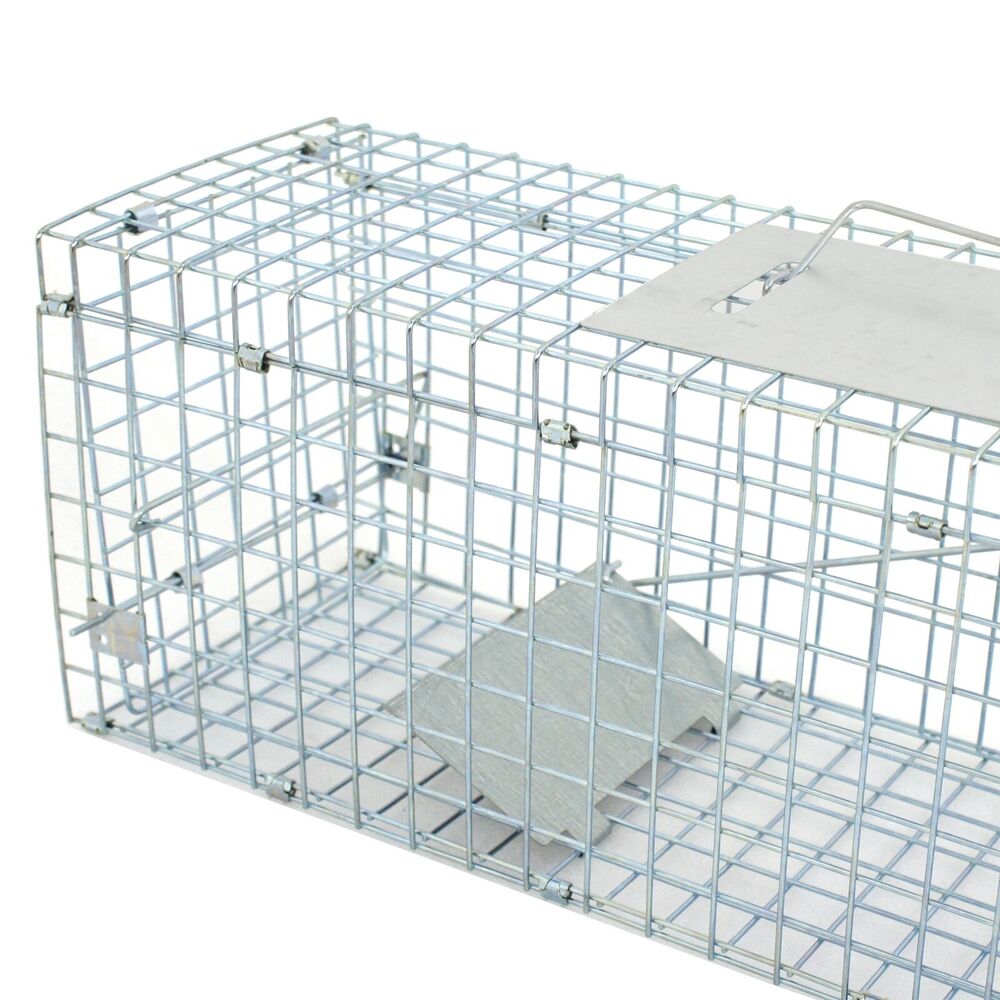 Animal Trap 24in x 8in x 7.5in - Pets R Family