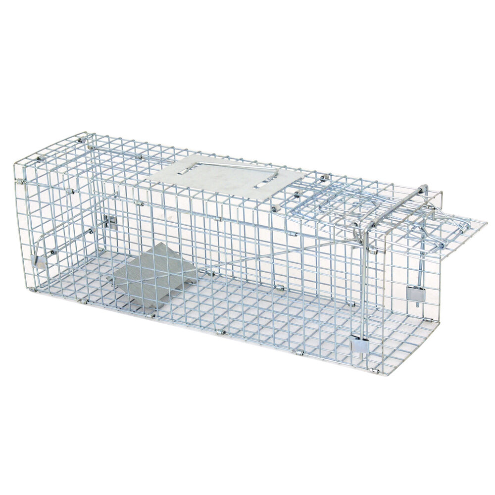 Animal Trap 24in x 8in x 7.5in - Pets R Family