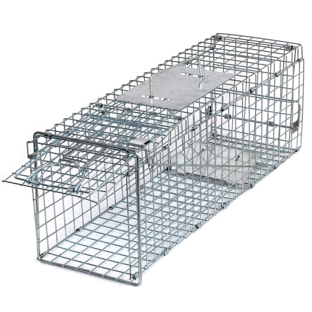 Animal Trap Cage 24in - Pets R Family