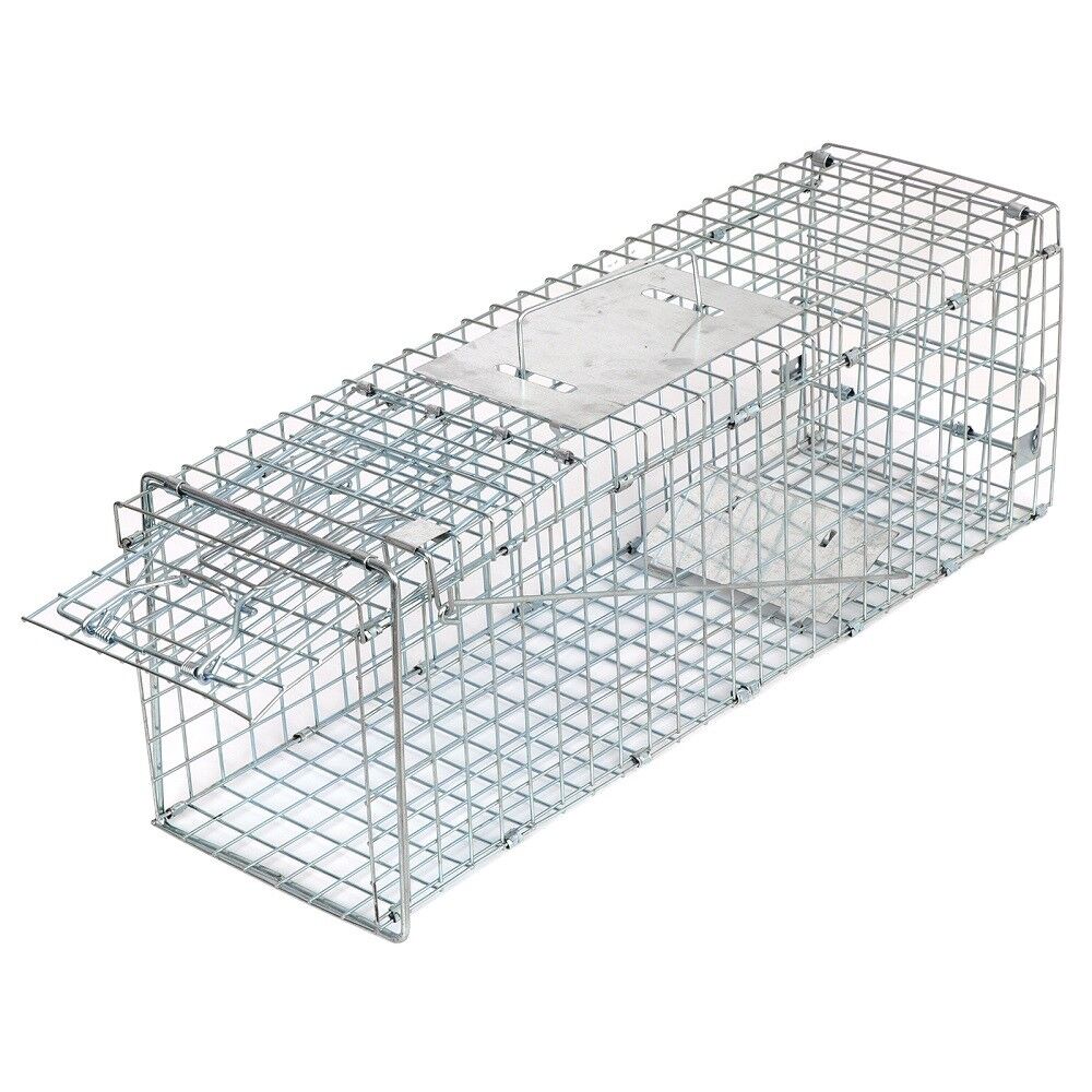 Animal Trap Cage 24in - Pets R Family