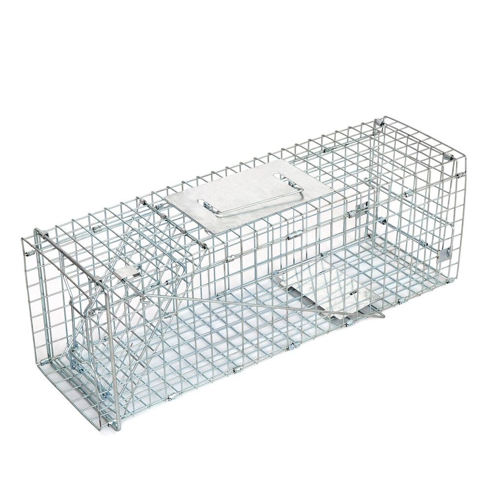 Animal Trap Cage 24in - Pets R Family