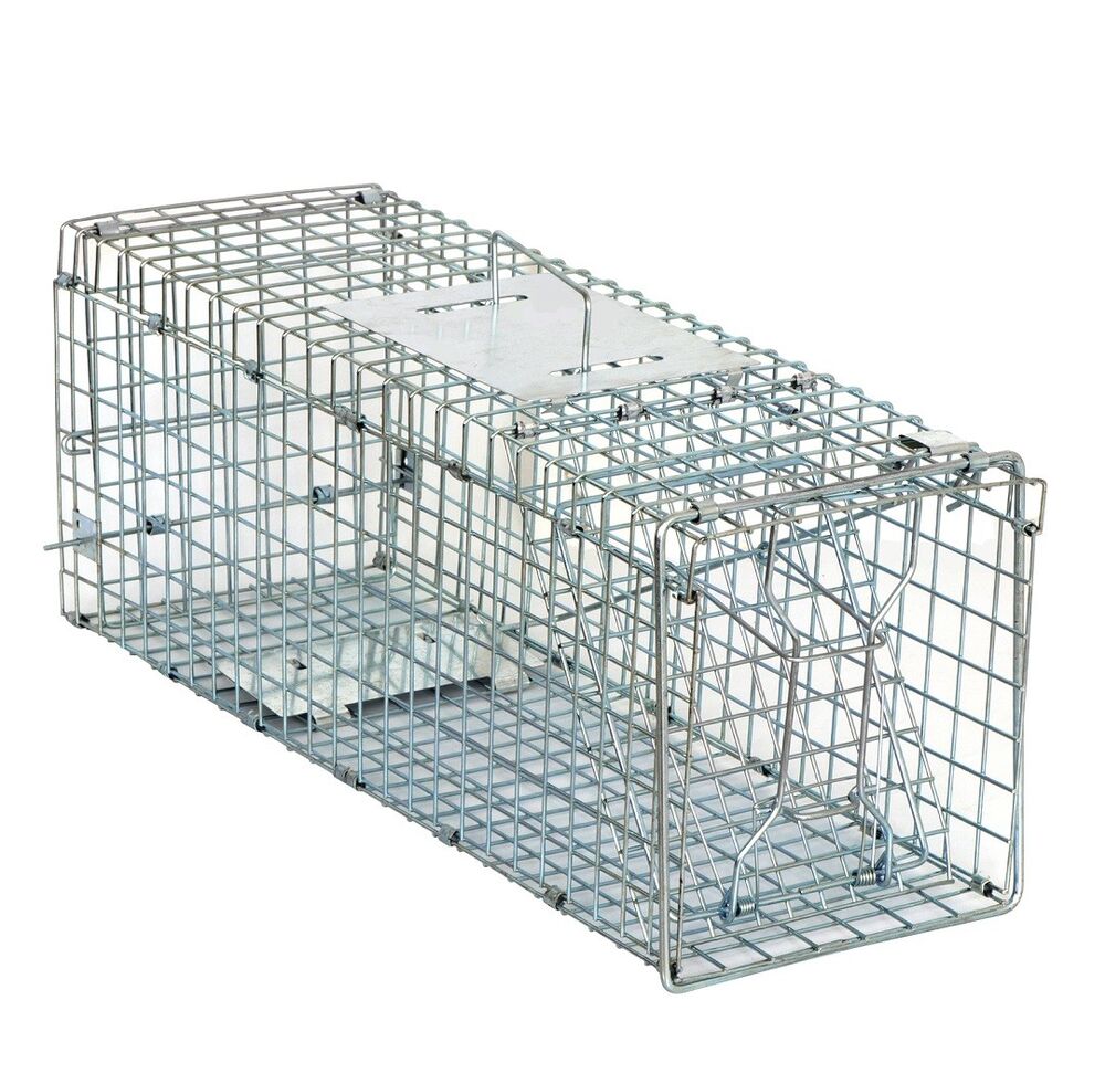 Animal Trap Cage 24in - Pets R Family