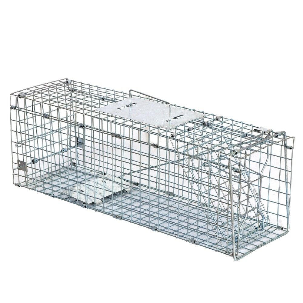 Animal Trap Cage 24in - Pets R Family