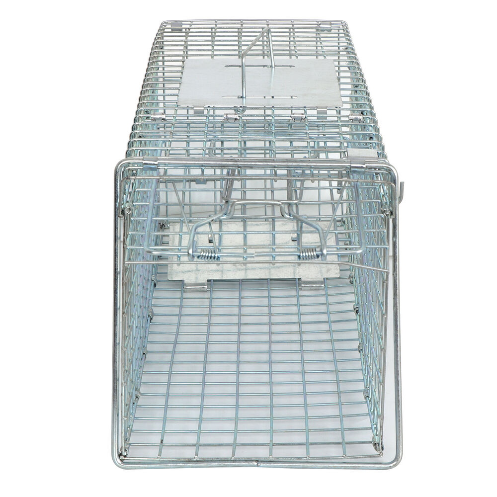 Animal Trap Cage 24in - Pets R Family