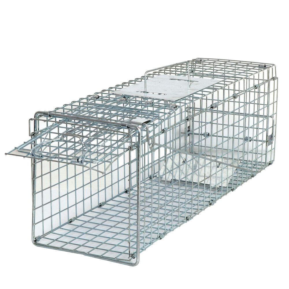 Animal Trap Cage 24in - Pets R Family