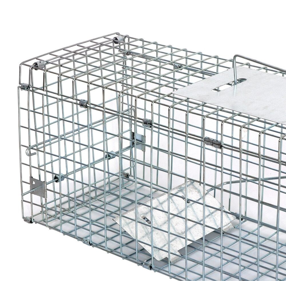 Animal Trap Cage 24in - Pets R Family