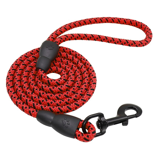 Dog Leash with Padded Handle in Red 5 Feet