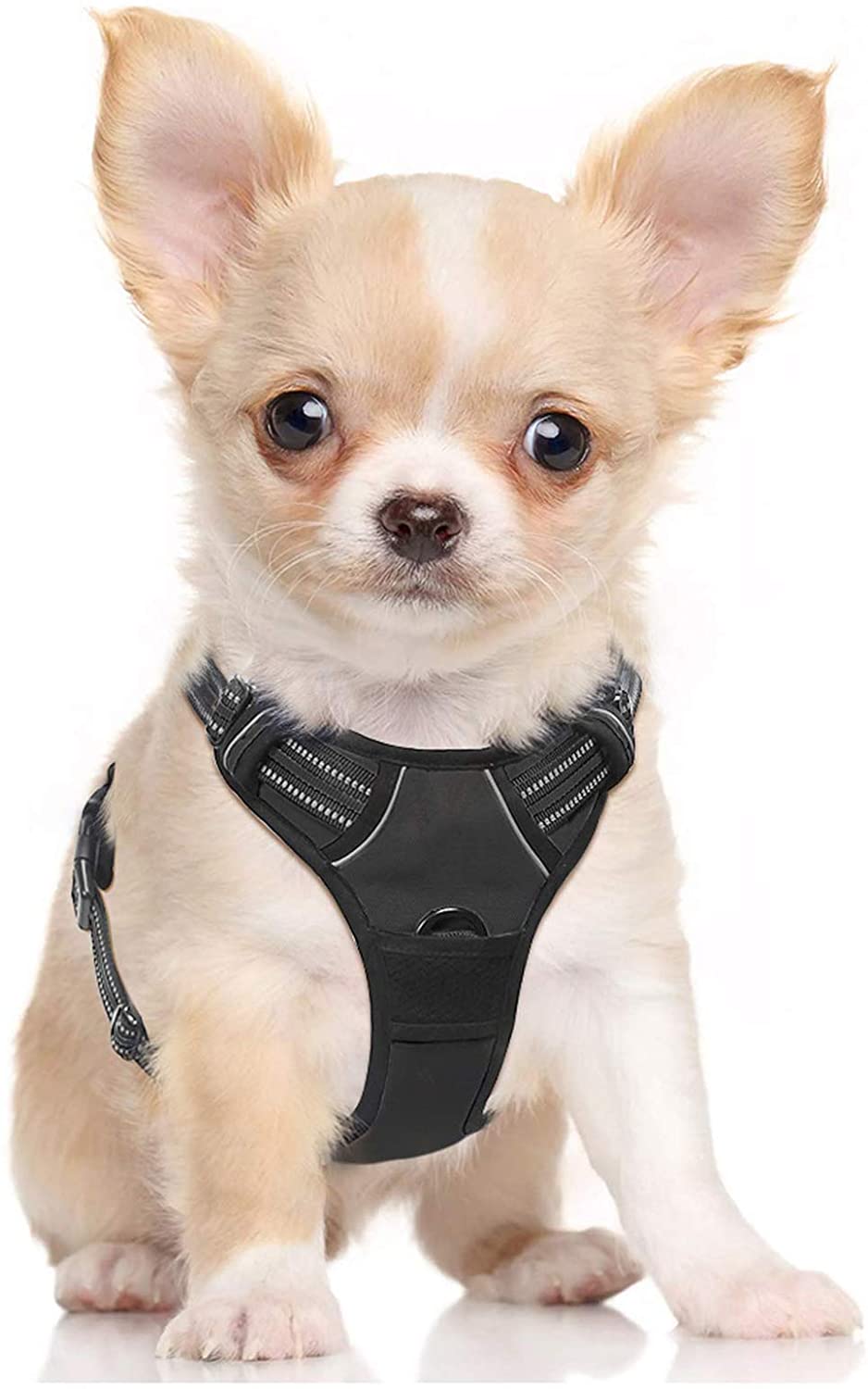 Dog Harness Small in Black