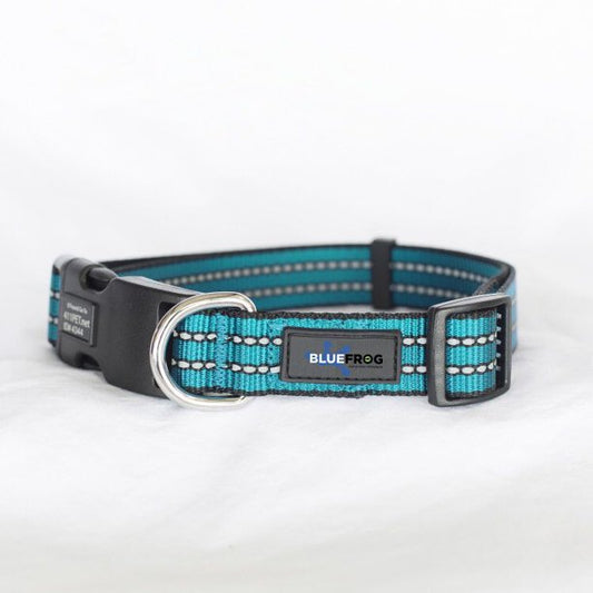 GPS Tracking Dog Collar Turquoise in Small