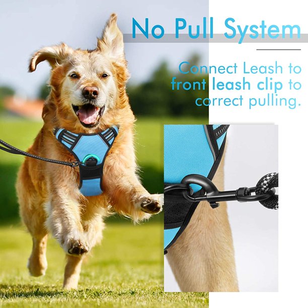 Dog Harness Large in Blue