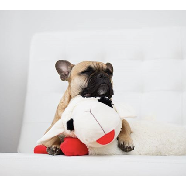 Lamb Chop Plush Dog Toy