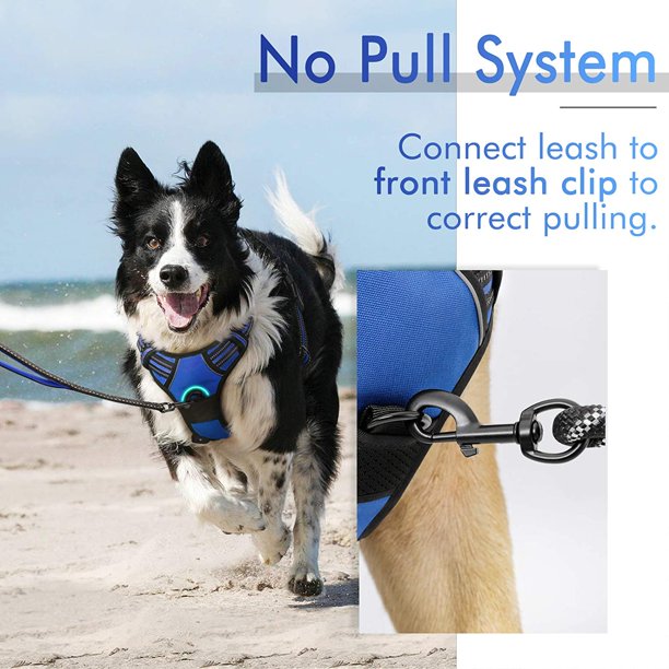 Fashion heritage dog harness