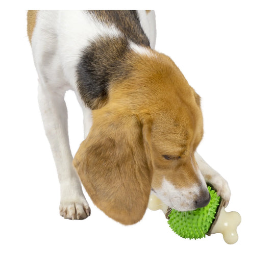 Ring Holding Dog Toy for Medium Dogs