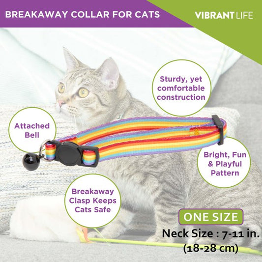 Cat Collar Rainbow Stripes and Multicolor