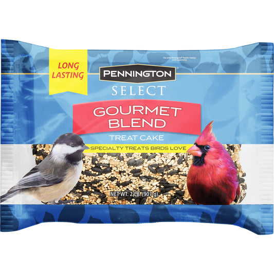 Gourmet Wild Bird Seed Cake 2 lb
