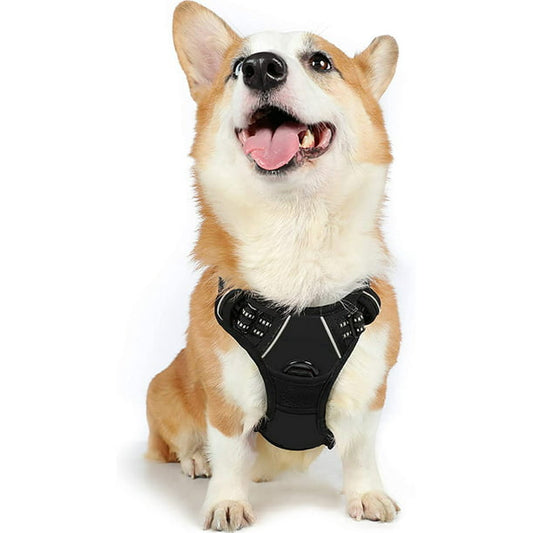 Dog Harness in Medium in Classic Black