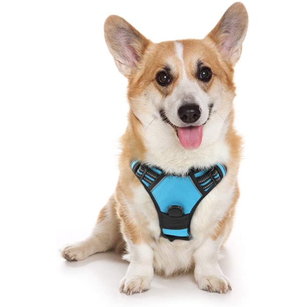 Dog Harness Medium in Blue