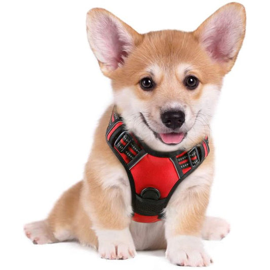 Dog Harness Small in Passion Red