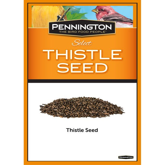 Select Thistle Seed in Brown with 10 lbs